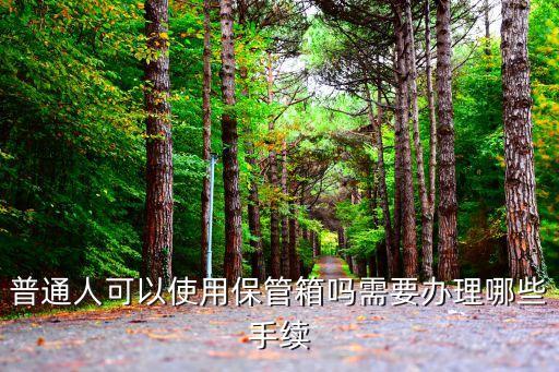 保管箱業(yè)務(wù),哪個(gè)銀行有保管箱業(yè)務(wù)