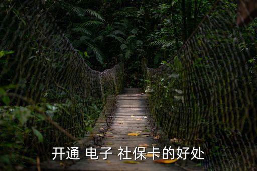 開通 電子 社保卡的好處
