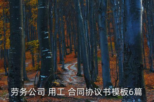 勞務(wù)公司 用工 合同協(xié)議書模板6篇