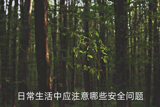 日常生活中應(yīng)注意哪些安全問題
