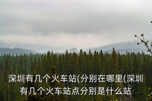 福田站在哪里,福田高鐵站叫什么站