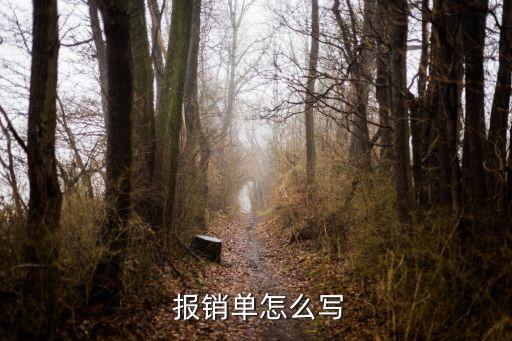 報(bào)銷說明,公務(wù)卡沒辦下來出差報(bào)銷說明