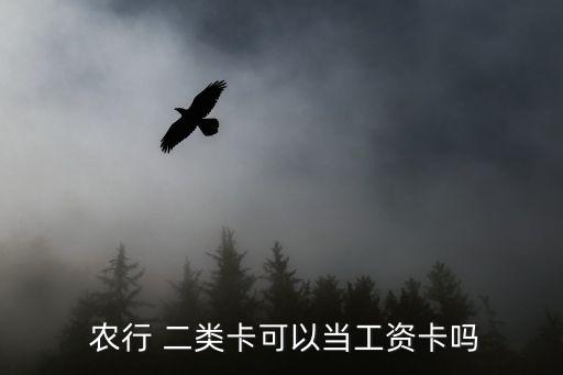  農(nóng)行 二類卡可以當工資卡嗎
