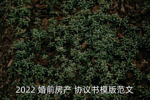 2022 婚前房產(chǎn) 協(xié)議書模版范文
