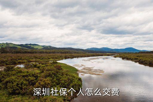 深圳市社會(huì)保險(xiǎn)