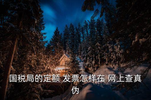 國稅局的定額 發(fā)票怎樣在 網上查真?zhèn)? class=