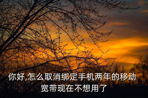移動寬帶怎么注銷,中國移動寬帶怎么注銷