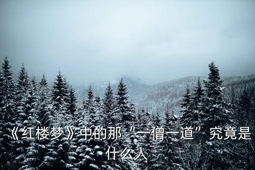 《紅樓夢》中的那“一僧一道”究竟是什么人
