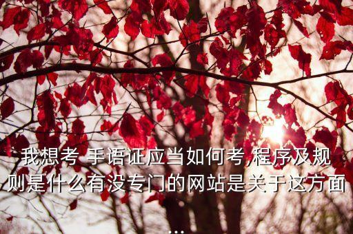 手語翻譯收費標準,wps翻譯收費標準