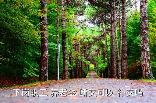 養(yǎng)老保險(xiǎn)斷交可以補(bǔ)交嗎,城鄉(xiāng)居民養(yǎng)老保險(xiǎn)斷交可以補(bǔ)交嗎