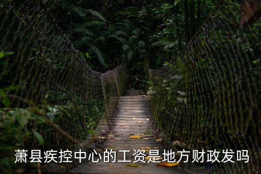  蕭縣疾控中心的工資是地方財(cái)政發(fā)嗎