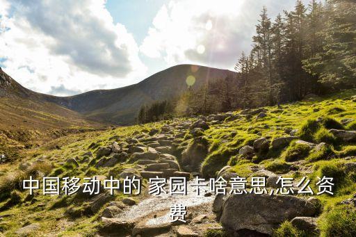 神州行家園卡,中國移動神州行家園卡