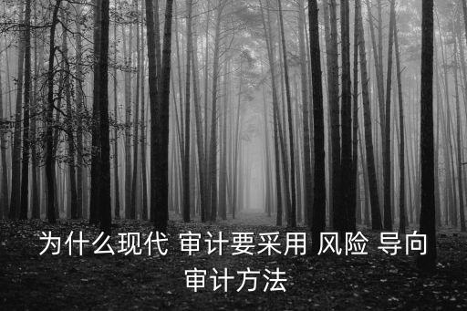 為什么現(xiàn)代 審計要采用 風(fēng)險 導(dǎo)向 審計方法