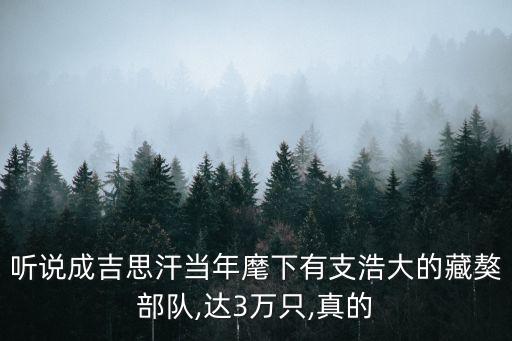 聽(tīng)說(shuō)成吉思汗當(dāng)年麾下有支浩大的藏獒部隊(duì),達(dá)3萬(wàn)只,真的