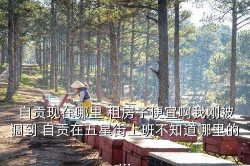  自貢現(xiàn)在哪里 租房子便宜啊我剛被調(diào)到 自貢在五星街上班不知道哪里的...
