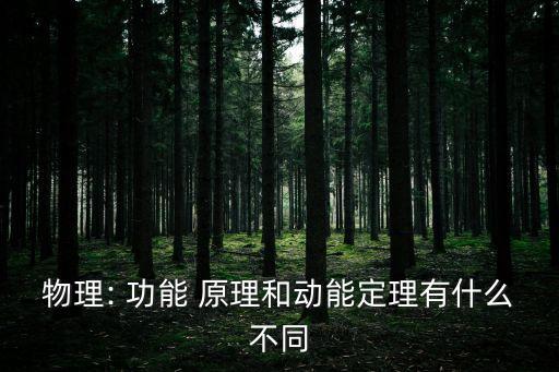 物理: 功能 原理和動能定理有什么不同