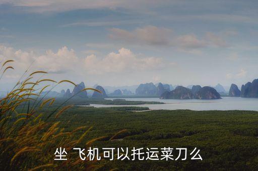坐 飛機(jī)可以托運(yùn)菜刀么