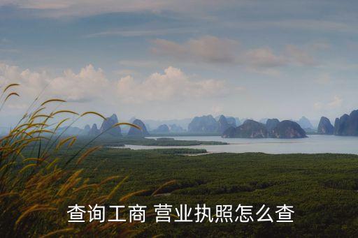 個(gè)體工商戶營業(yè)執(zhí)照查詢,廣州個(gè)體工商戶營業(yè)執(zhí)照查詢