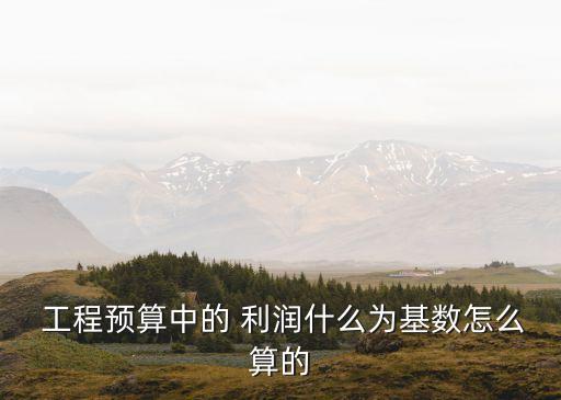 工程利潤(rùn)