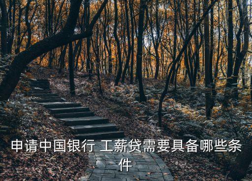 申請(qǐng)中國(guó)銀行 工薪貸需要具備哪些條件