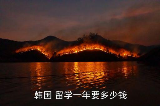 韓國留學(xué)費用,高中畢業(yè)去韓國留學(xué)費用