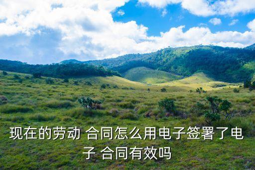 勞務(wù)合同通用版圖片,孩子上學(xué)勞務(wù)合同圖片