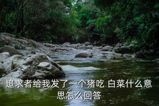 豬拱白菜表情包,一只豬拱白菜表情包