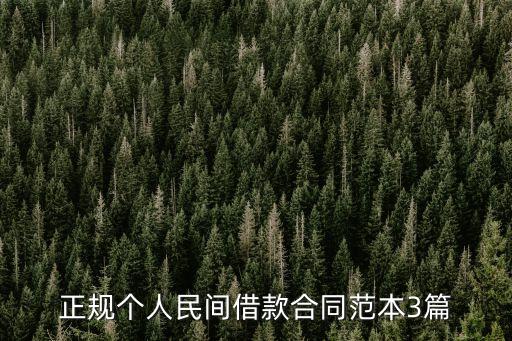 正規(guī)個(gè)人民間借款合同范本3篇