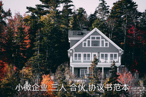 小微企業(yè) 三人 合伙 協(xié)議書范本