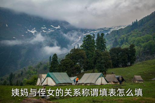 姨是什么親屬關(guān)系,親戚關(guān)系稱呼大全