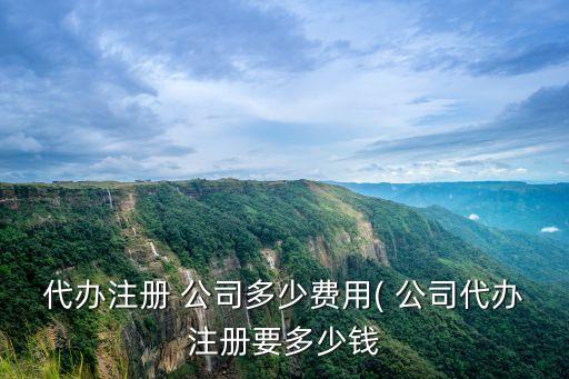 代辦注冊(cè) 公司多少費(fèi)用( 公司代辦注冊(cè)要多少錢(qián)
