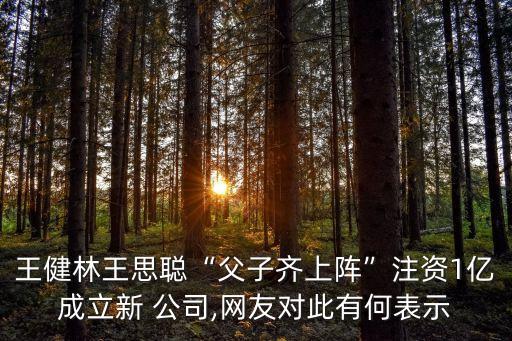 新注冊1億公司,如何新注冊公司