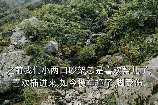 兒子插媽