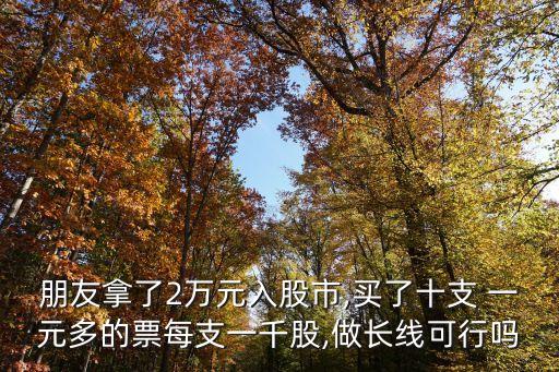 一元股