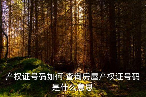 產(chǎn)權(quán)證號碼如何 查詢房屋產(chǎn)權(quán)證號碼是什么意思