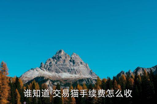 j交易貓,交易貓打手版app下載