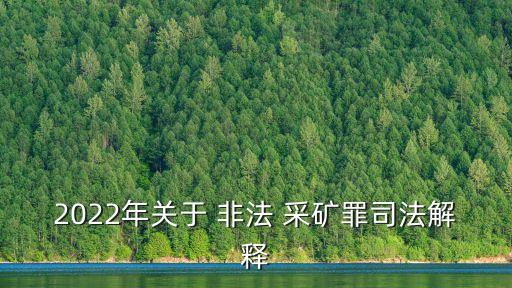 2022年關(guān)于 非法 采礦罪司法解釋