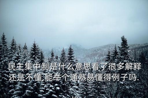 民主集中制是什么