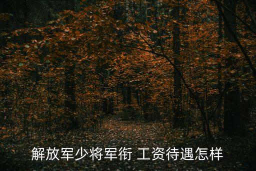 省長工資,省部級工資真實待遇