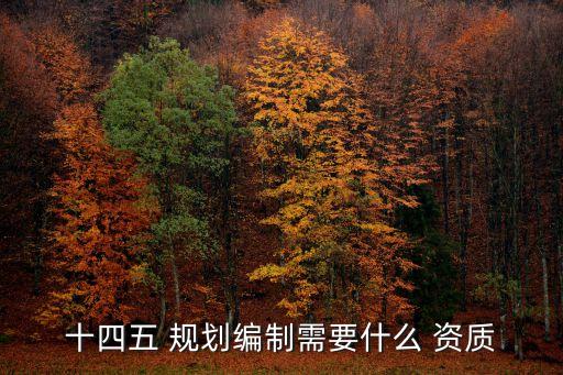 十四五 規(guī)劃編制需要什么 資質(zhì)