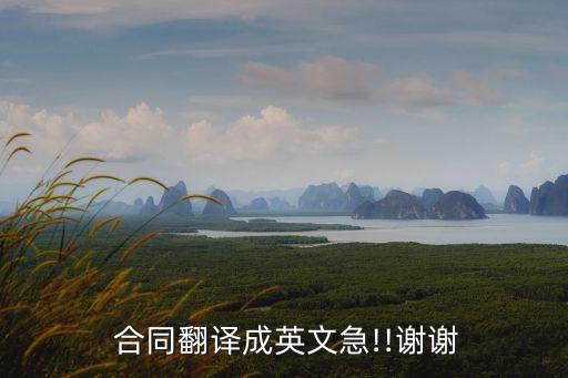  合同翻譯成英文急!!謝謝