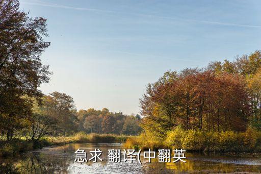 急求 翻譯(中翻英