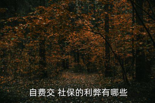 自費(fèi)社保太坑了虧大了