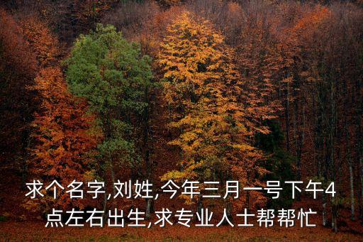 求個(gè)名字,劉姓,今年三月一號(hào)下午4點(diǎn)左右出生,求專業(yè)人士幫幫忙
