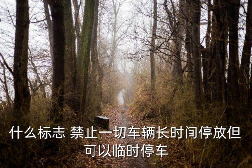 什么標志 禁止一切車輛長時間停放但可以臨時停車