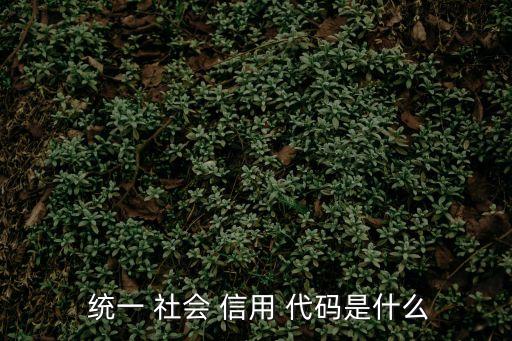 統(tǒng)一社會(huì)信用代碼