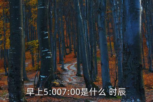 早上5:007:00是什么 時(shí)辰