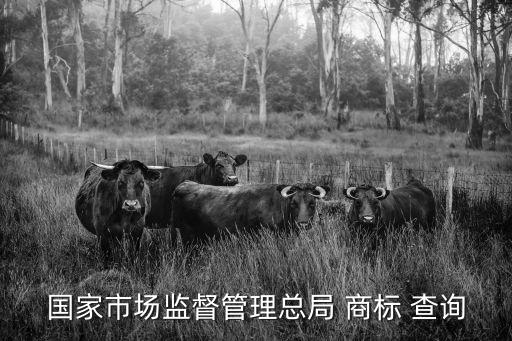 商標(biāo)近似查詢