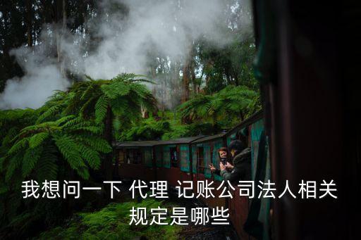 代理記賬業(yè)務(wù)內(nèi)部規(guī)范
