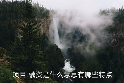  項目 融資是什么意思有哪些特點